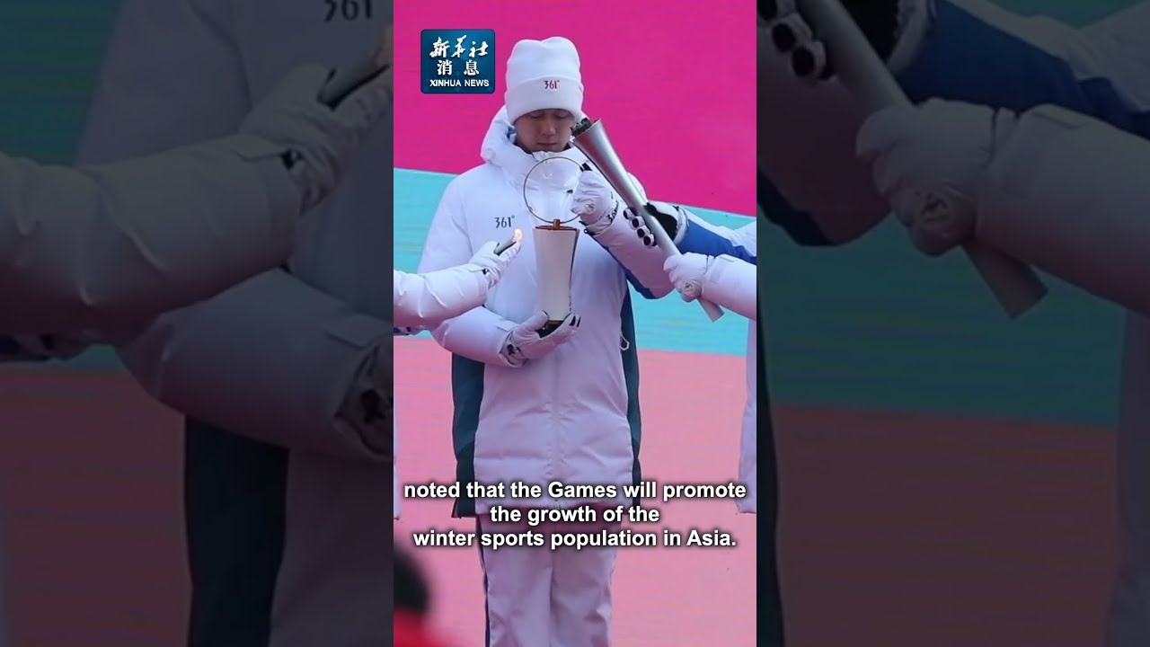 为巴西队增