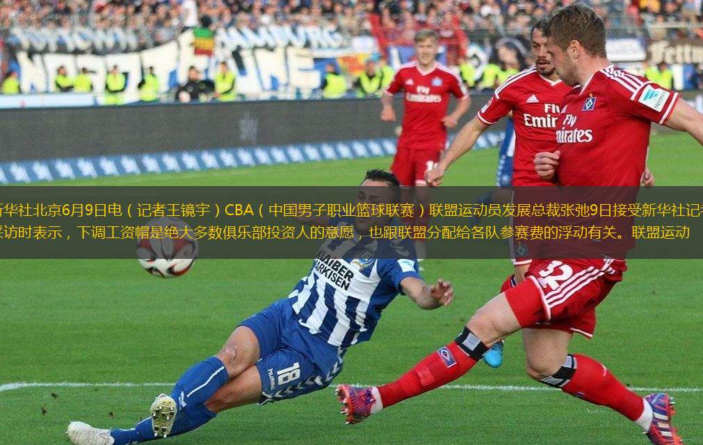 安联保险助