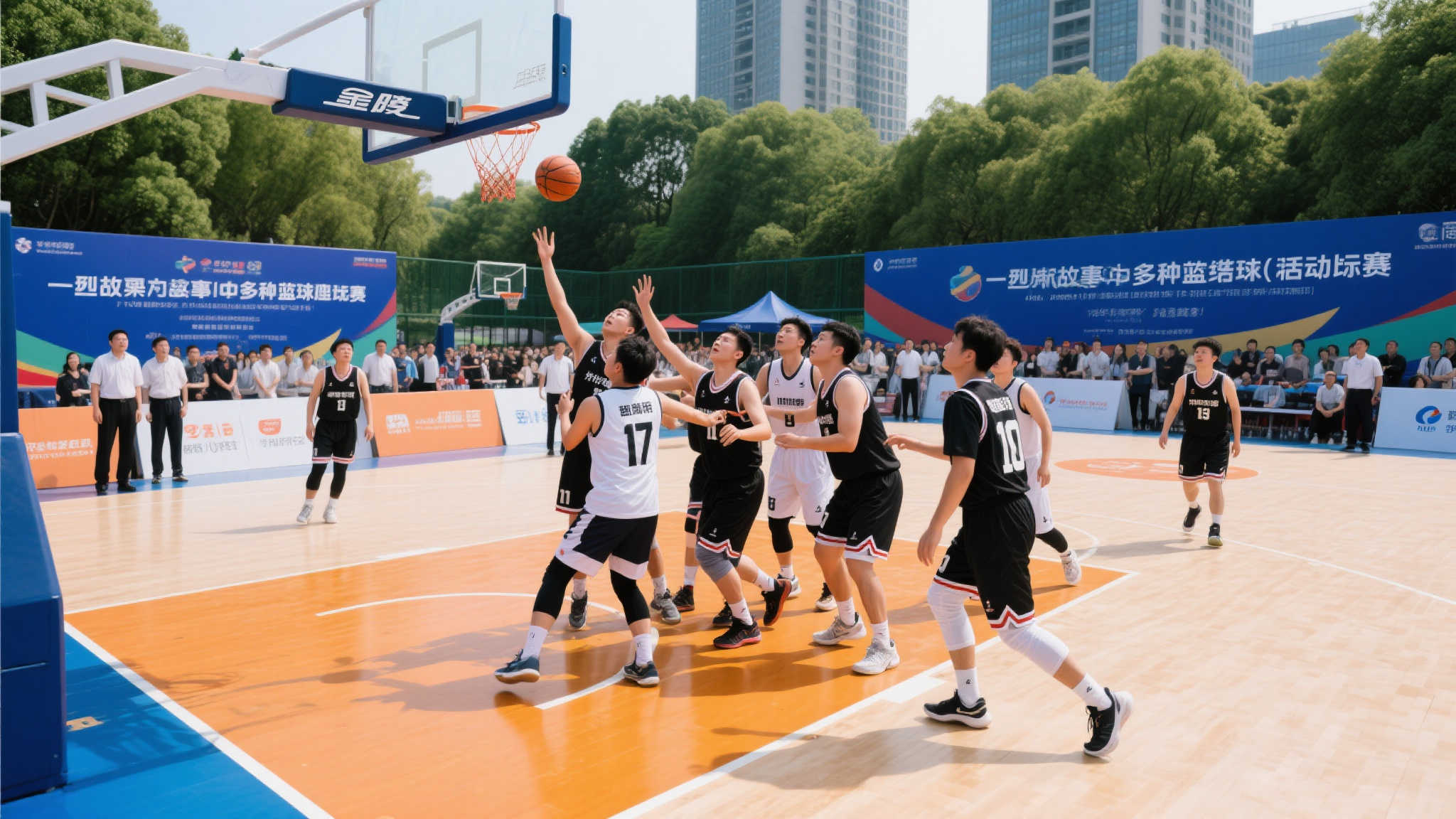 组织 组织